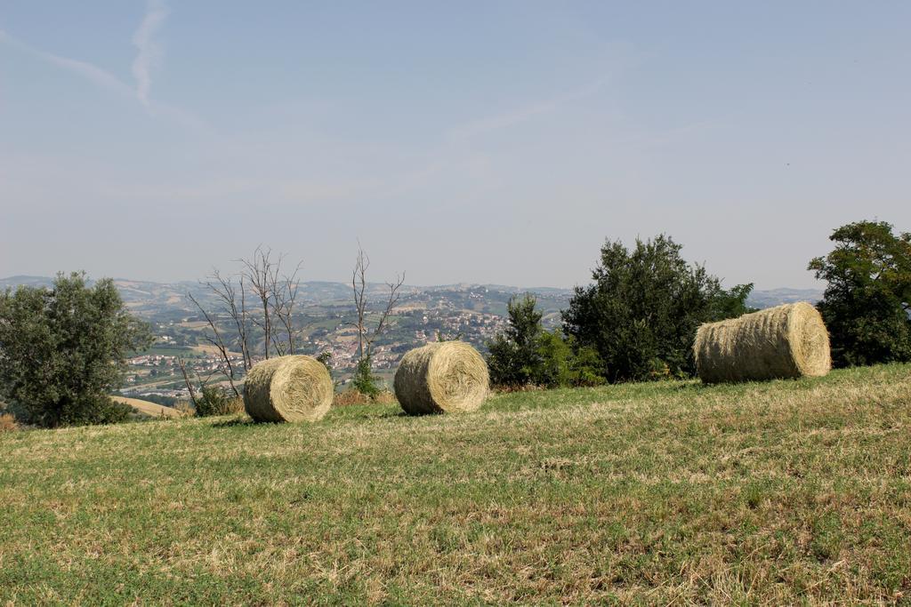 B&B Verdi Colline Controguerra Exterior photo